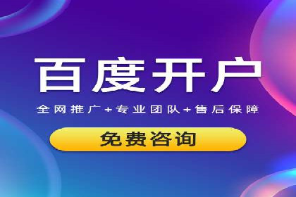 SEM托管公司案例研究：优化策略解析
